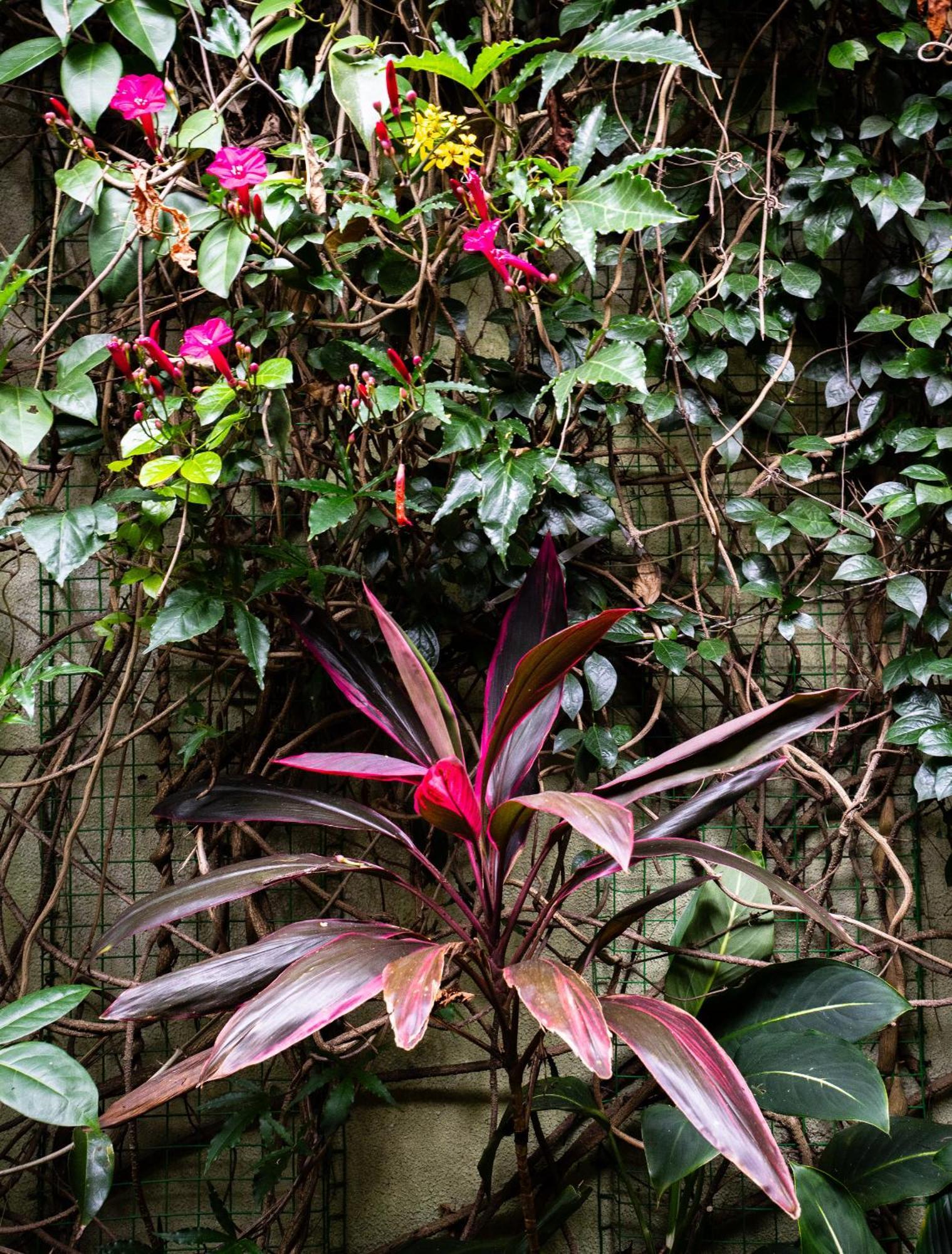 Kandy Inn Madugalle'S Family Guest House Dış mekan fotoğraf